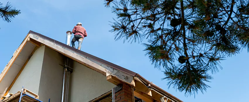 Birds Removal Contractors from Chimney in Tifton, GA